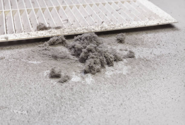 Best Affordable Duct Cleaning Services  in Dewitt, MI