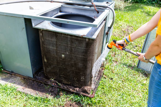 Best Residential Air Duct Cleaning  in Dewitt, MI