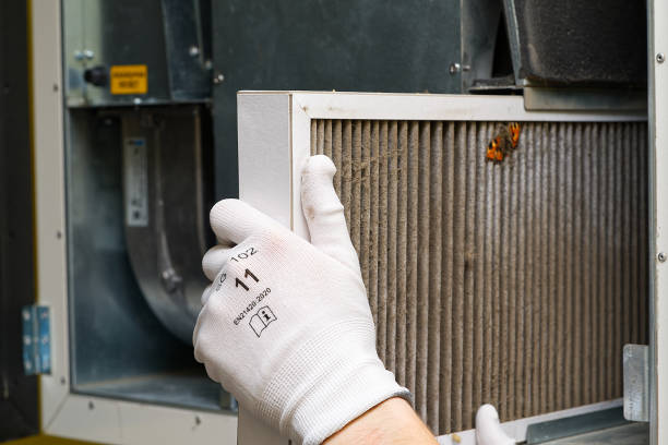 Best Ductwork Cleaning Services  in Dewitt, MI