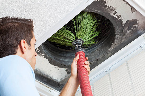 Best Residential Air Duct Cleaning  in Dewitt, MI